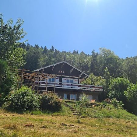 Le Chalet Des Amis Aurec-Sur-Loire 外观 照片