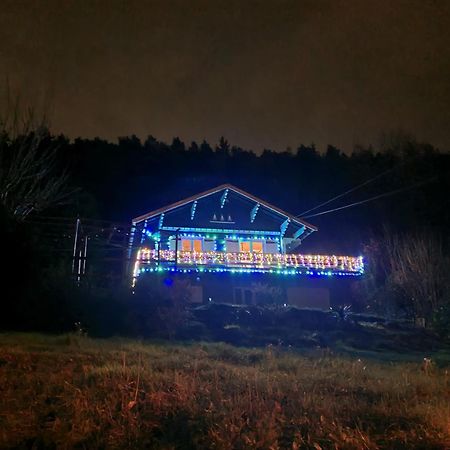 Le Chalet Des Amis Aurec-Sur-Loire 外观 照片
