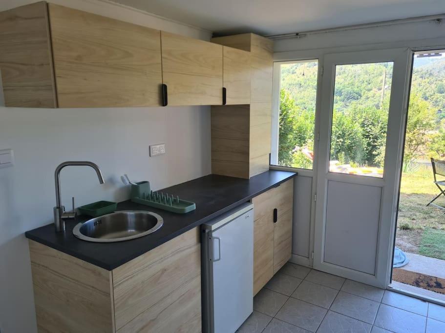 Le Chalet Des Amis Aurec-Sur-Loire 外观 照片